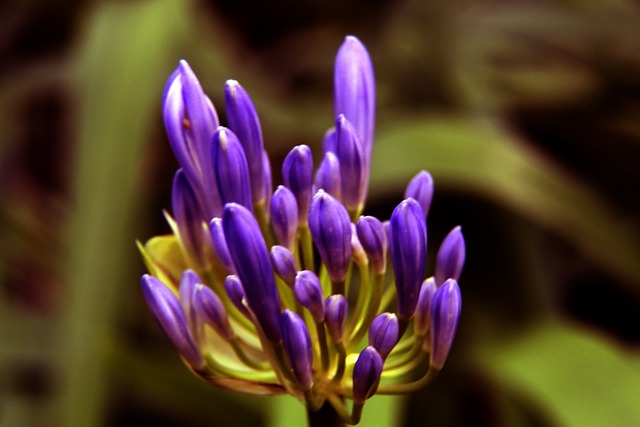 冰雪运动在 冰雪运动在