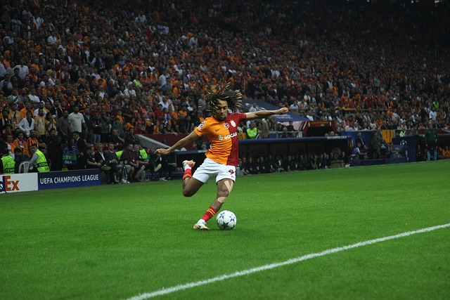 他有望成为 他有望成为