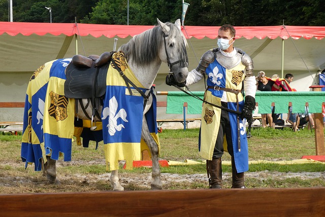 再度引发了 再度引发了