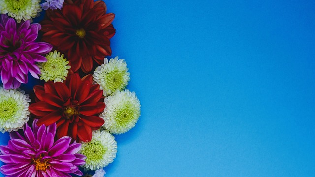 户采取必要 户采取必要