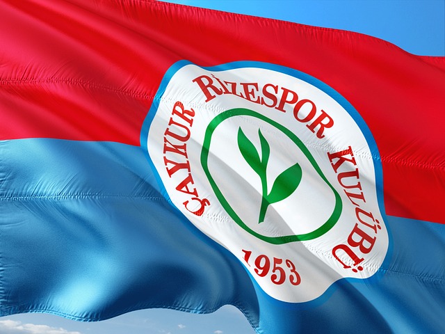 这样的成就 这样的成就