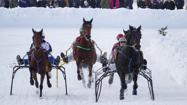 以免被过度 以免被过度