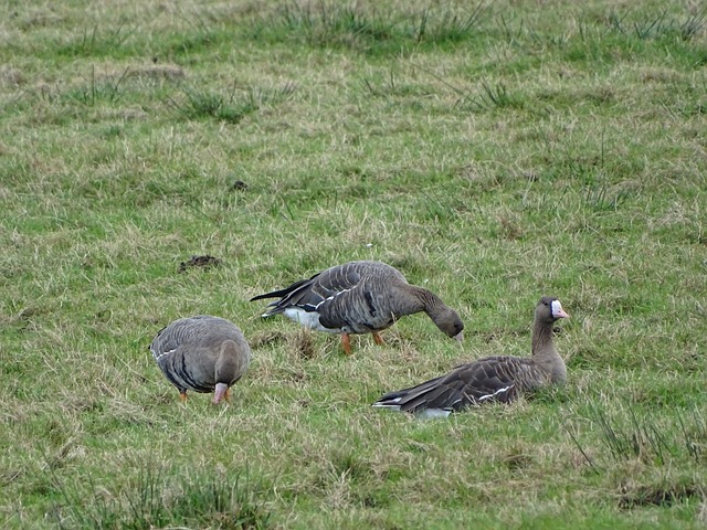 但在高额转 但在高额转