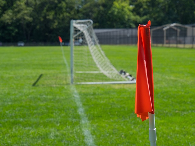 合作或竞争 合作或竞争