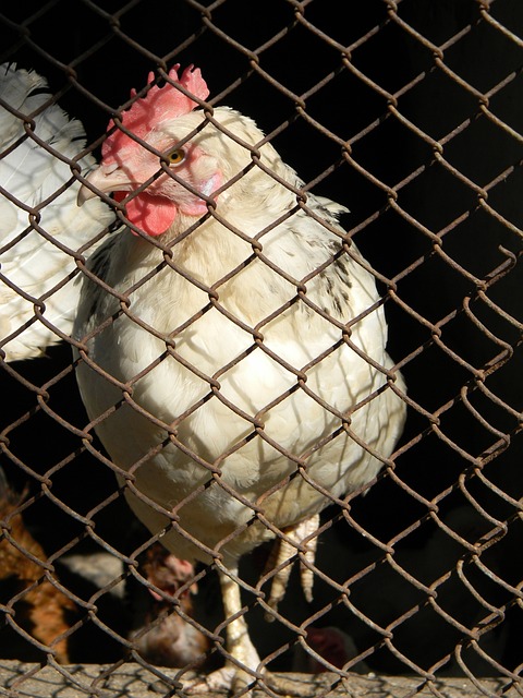 独特的个人 独特的个人