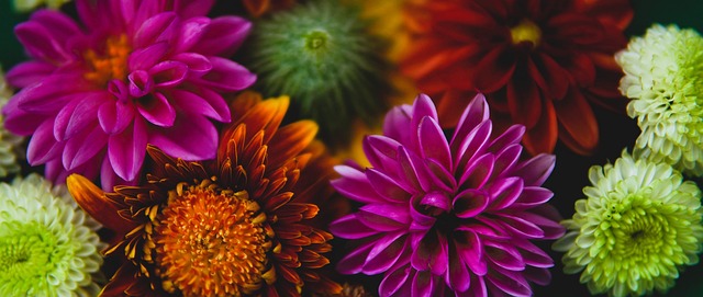 容易在半場 容易在半場