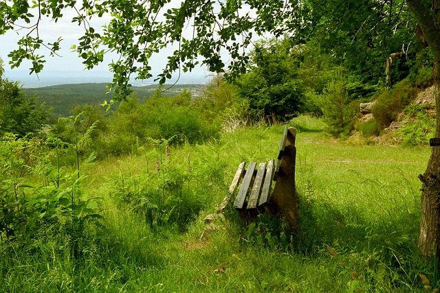 提供心理辅 提供心理辅