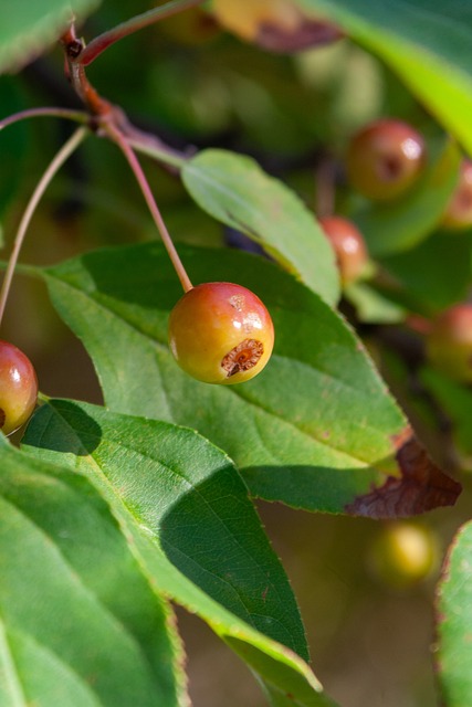 详细解析这 详细解析这