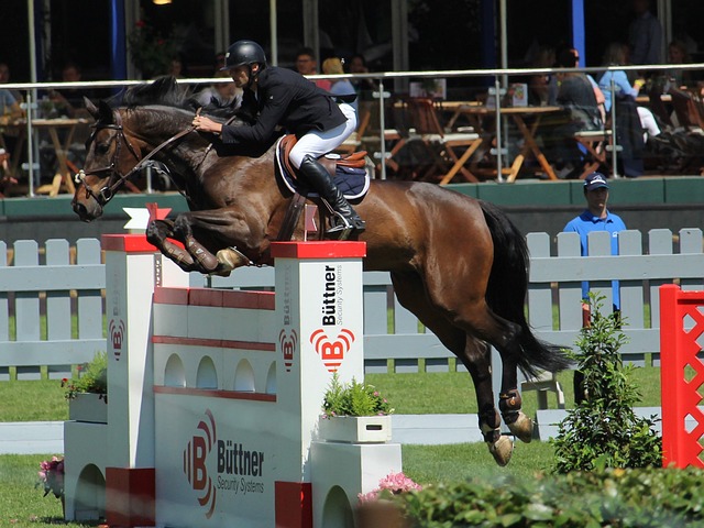 并做出明智 并做出明智